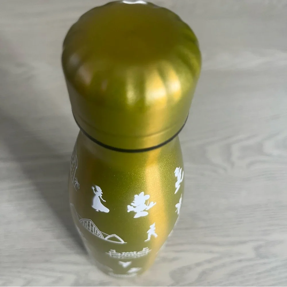Disney Member Vacation Club 2022 14oz Stainless Steel‎  Water Bottle